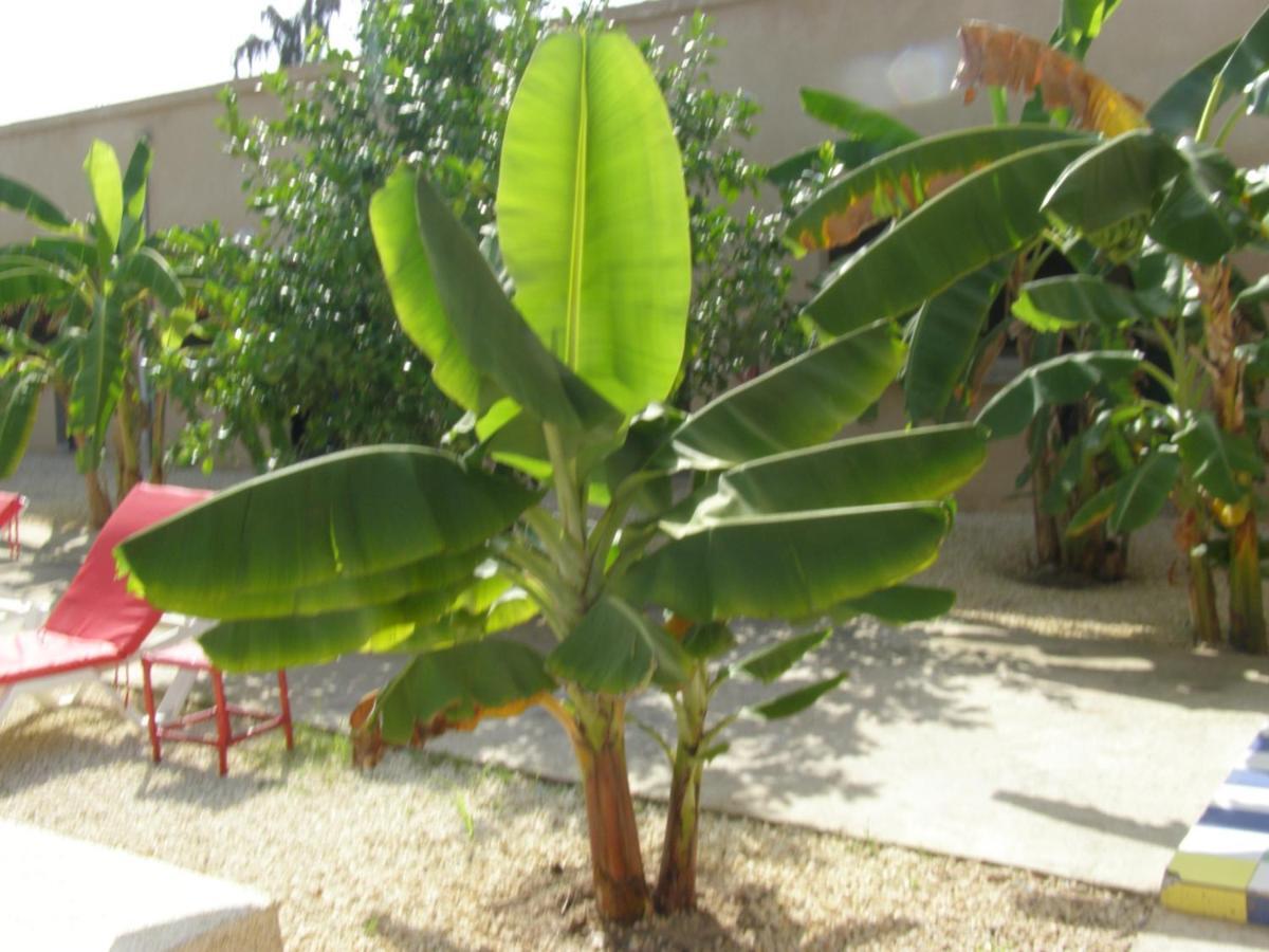 Auberge Keur Ely Ouoran Esterno foto